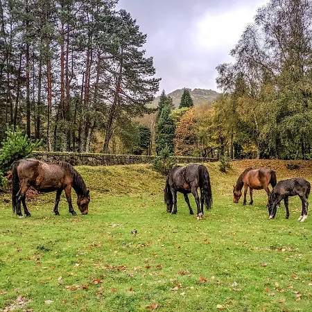 Refugio Do Oscar Dom wakacyjny *