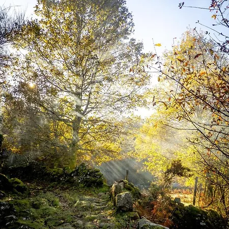 Refugio Do Oscar Prázdninový dům Gavieira