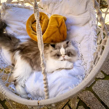 Сasa de vacaciones Refúgio Do óscar