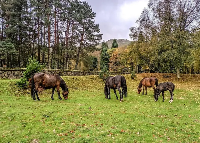 Refugio Do Oscar Holiday home *