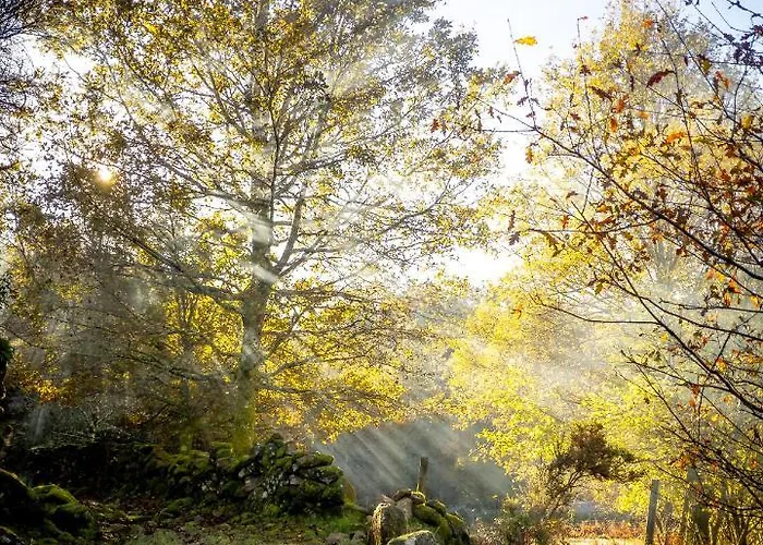 Refúgio Do óscar Casa de Férias Gavieira