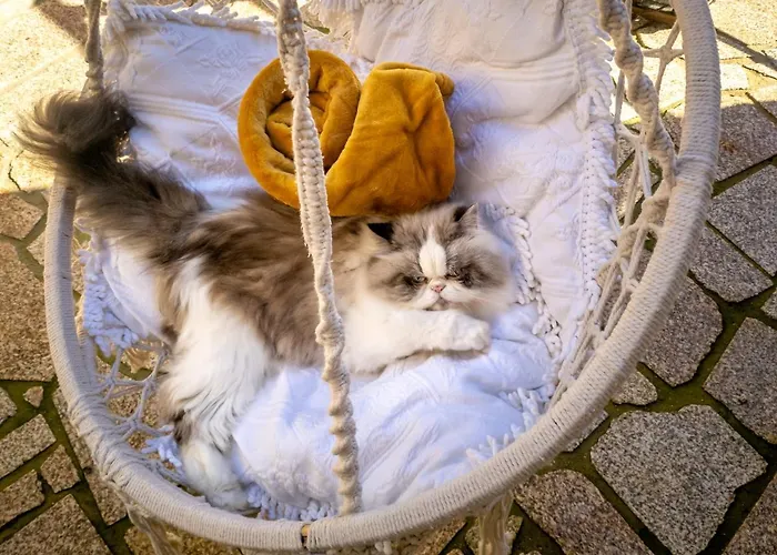 Casa vacanze Refúgio Do óscar